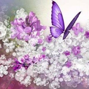 Meet your Posher, Patricia